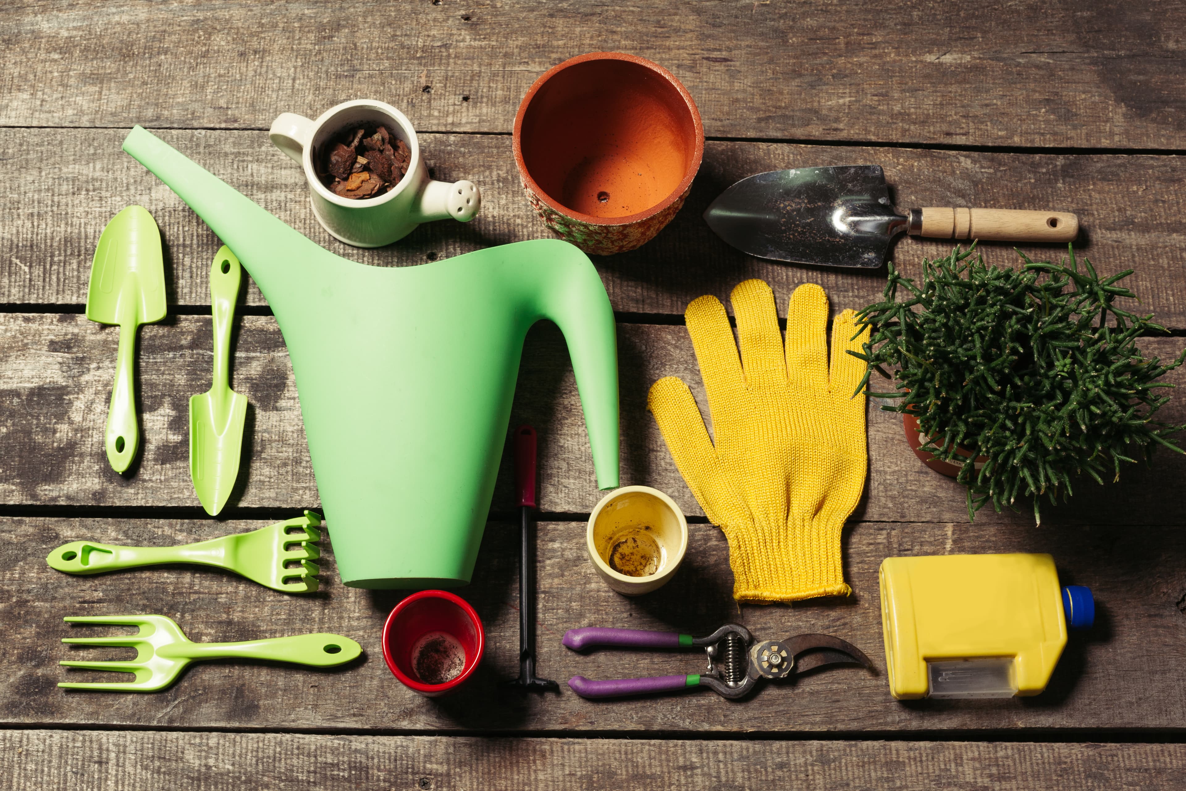 A watering can, gardening gloves, and hand tools laid out for the seasonal garden items at Aurora Home Hardware Building Centre.